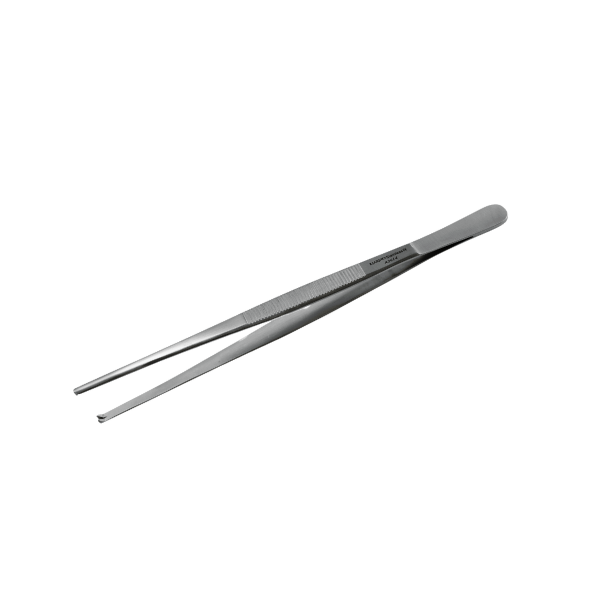 Tissue Forceps – 15cm 1×2