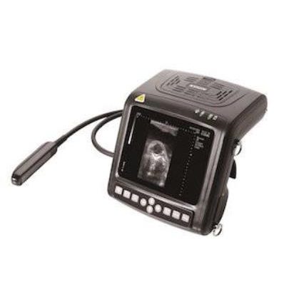 Alternative view of KX5200 VET Big Animal Ultrasound Scanner
