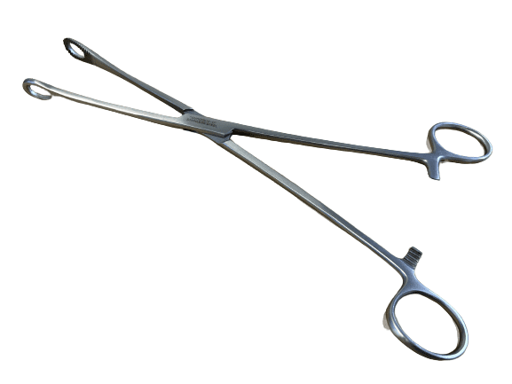 Foster sponge holding forceps 25cm