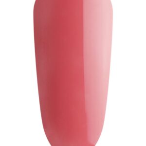 Rhubarb