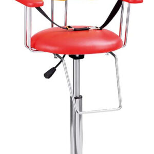 Standard Kids Cutting Chair