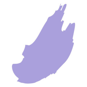 Alternative view of CALIFORNIAN STUDIO GEL