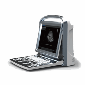 CHISON ECO1 B&W ULTRASOUND | 2 Probe Connectors and battery