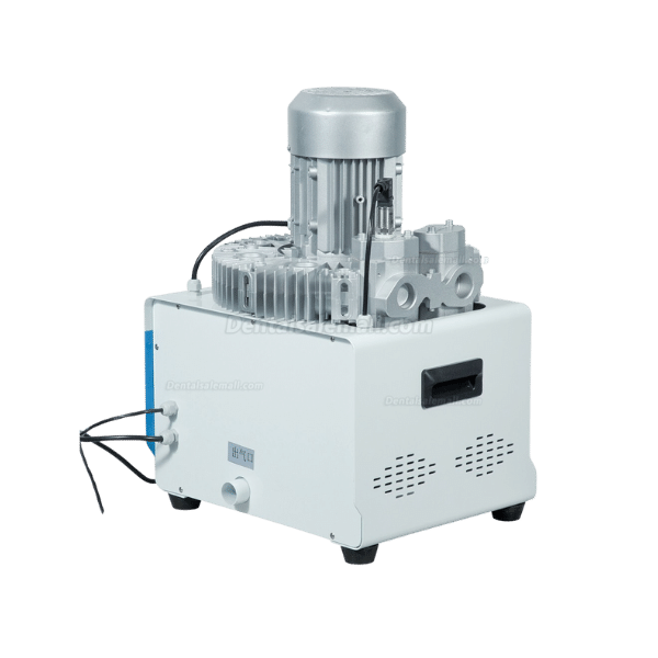 GS-03F Dental Vacuum Pump - Image 2