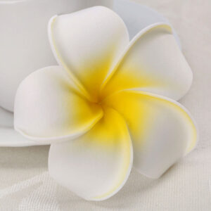 Alternative view of Frangipani foam flower Yellow & White 8cm
