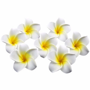 Frangipani foam flower Yellow & White 8cm