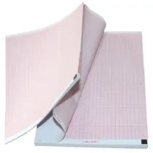 Nihon Kohden ECG Paper