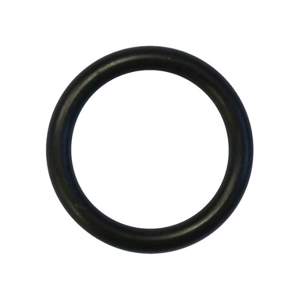 Oxygen Reg Bullnose – O-Ring - Image 2