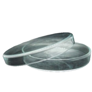 Petri Dish-Glass 60mm