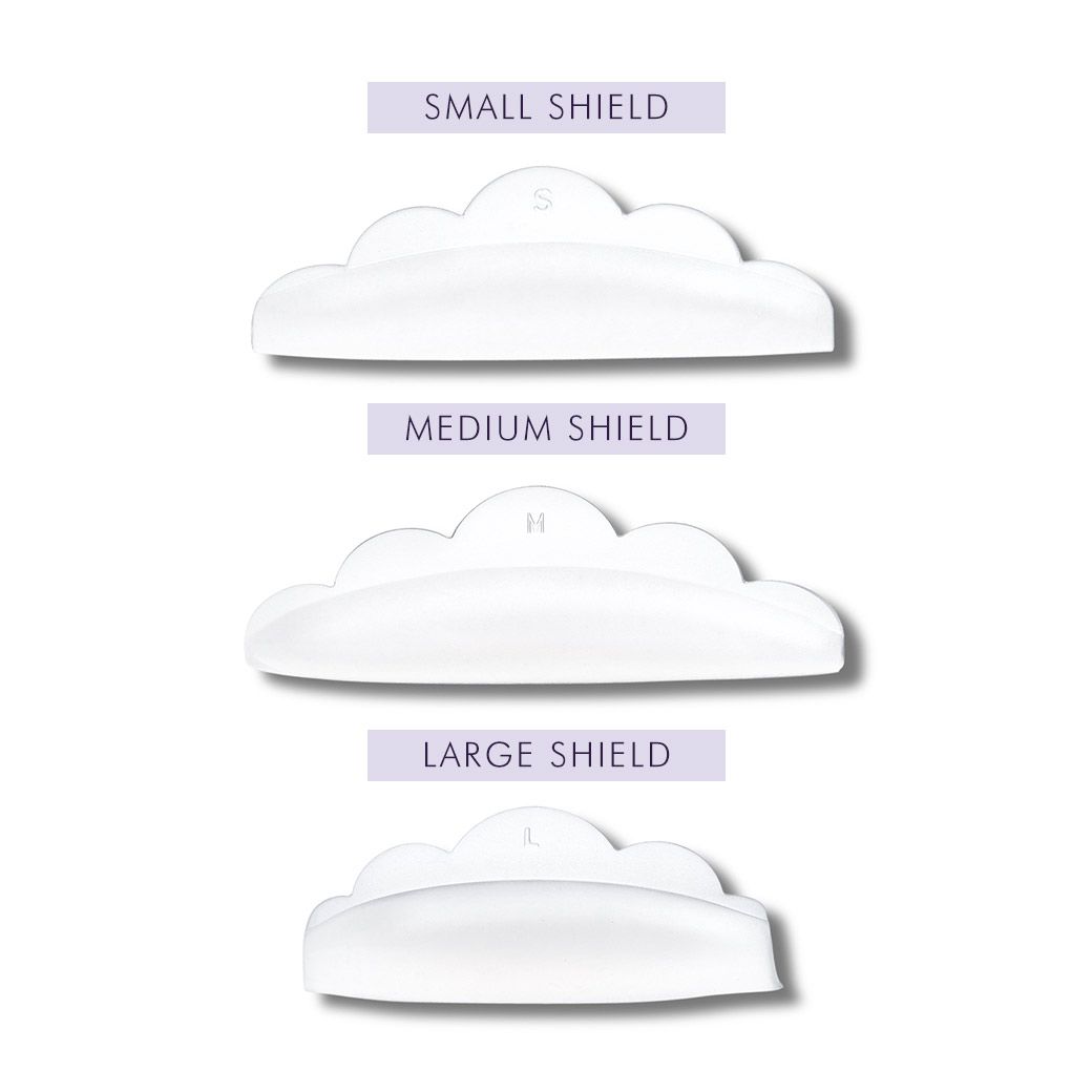 Alternative view of NL Shields - Medium