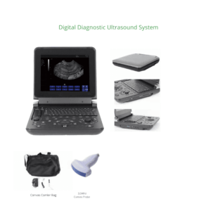 Ultrasound Machine - 12 Inch