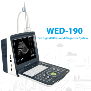 Ultrasound Black/White high end portable 15" LCD monitor, 1 probe 128 element , Li battery 1.5 hours