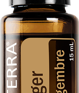 Ginger 15 ml