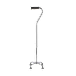 Alternative view of Mx Walking Stick Quad